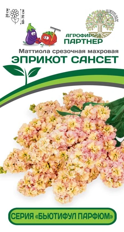 Маттиола срезочная махровая "Бьютифул Парфюм" ЭПРИКОТ САНСЕТ^(10шт) 2-ной пак