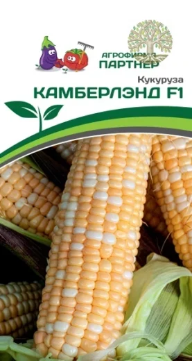 Кукуруза КАМБЕРЛЭНД F1 ^(3г)