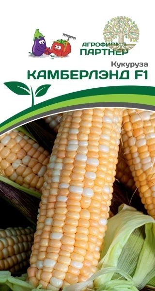 Кукуруза КАМБЕРЛЭНД F1 ^(3г)