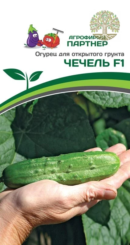 Огурец ЧЕЧЕЛЬ F1 ^(0,5г)