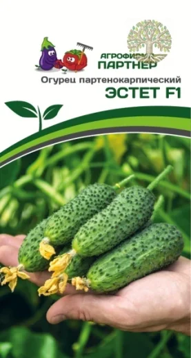 Огурец ЭСТЕТ F1 ^(5шт)