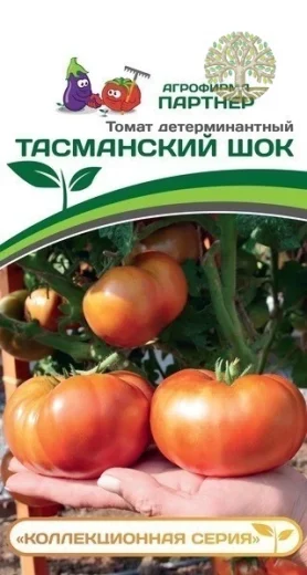 Томат ТАСМАНСКИЙ ШОК ^(10шт) 2-ной пак
