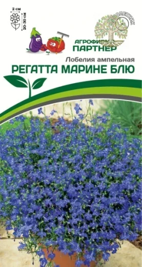 Лобелия ампельная РЕГАТТА МАРИНЕ БЛЮ ^(10шт в амп)