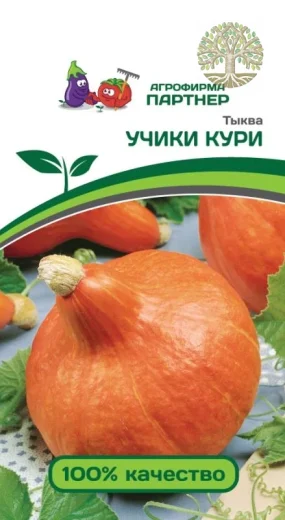 Тыква УЧИКИ КУРИ ^(10шт)