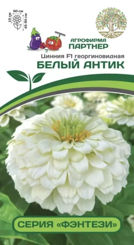 Цинния F1 БЕЛЫЙ АНТИК / георгиновидная ^(4шт) 2-ной пак.