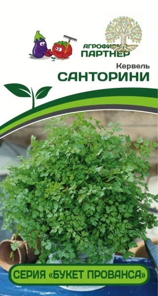 Кервель САНТОРИНИ ^(1г)