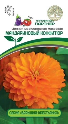 Цинния МАНДАРИНОВЫЙ КОНФИТЮР / мариландская махровая ^(5шт)