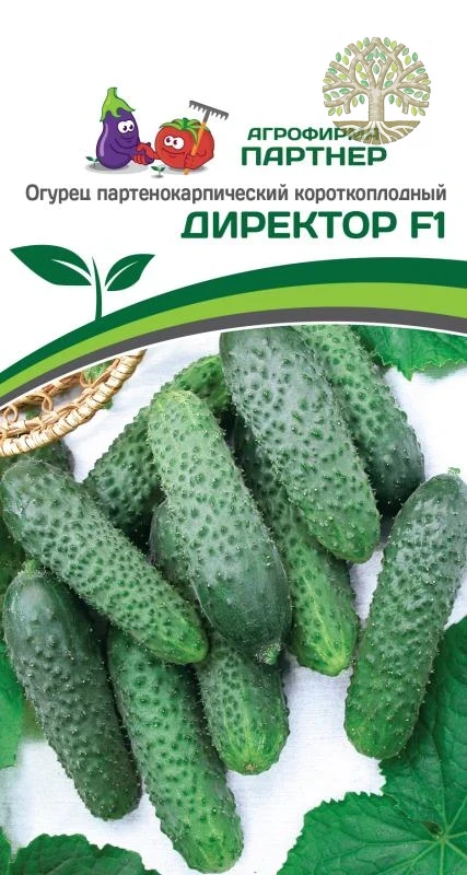 Огурец ДИРЕКТОР F1 ^(5шт)