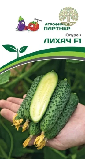Огурец ЛИХАЧ F1 ^(5шт)