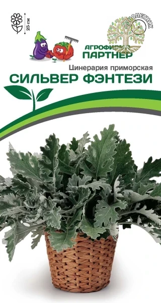 Цинерария Приморская СИЛЬВЕР ФЭНТЕЗИ^(15шт в амп)