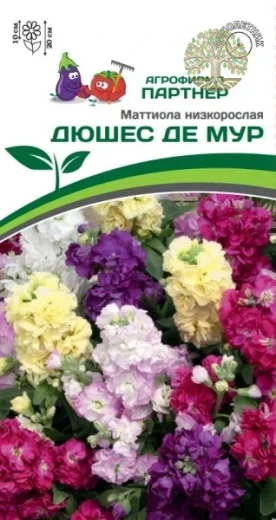 Маттиола низкорослая ДЮШЕС ДЕ МУР^(10шт) 2-ной пак