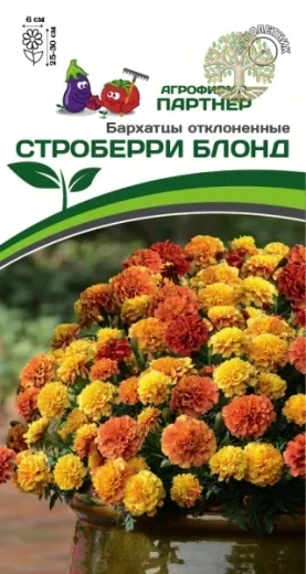 Бархатцы отклоненные СТРОБЕРРИ БЛОНД ^(10шт)