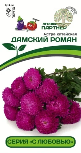 Астра китайская ДАМСКИЙ РОМАН ^(5шт в амп)