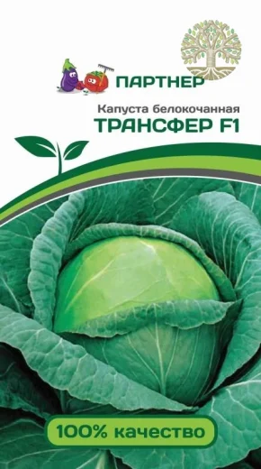 Капуста б/к ТРАНСФЕР F1 ^(0,2г в амп)