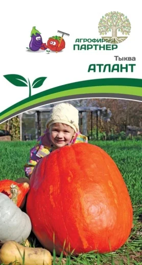 Тыква АТЛАНТ ^(10шт)