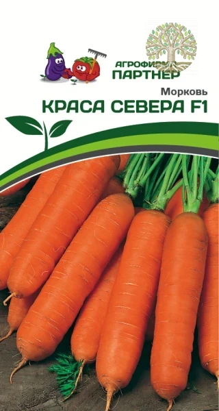 Морковь КРАСА СЕВЕРА F1 ^(0,5г)