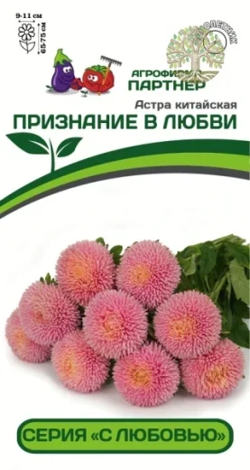 Астра китайская ПРИЗНАНИЕ В ЛЮБВИ (5шт в амп)