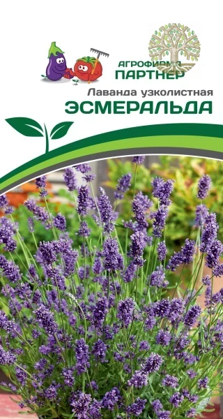 Лаванда узколистная ЭСМЕРАЛЬДА ^(0,05г в амп)