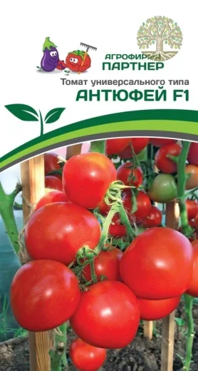Томат АНТЮФЕЙ F1 ^(0,1г) 2-ой пак