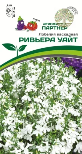 Лобелия каскадная РИВЬЕРА УАЙТ ^(10шт в амп)