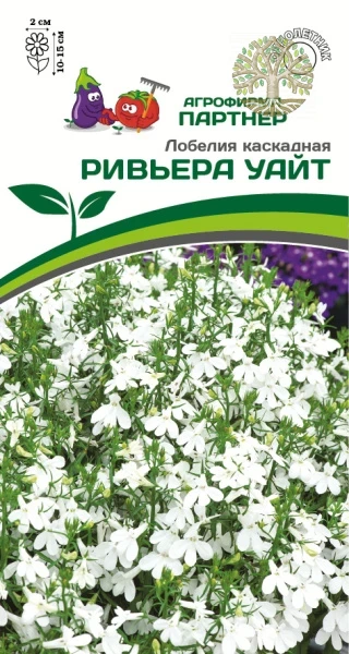 Лобелия каскадная РИВЬЕРА УАЙТ ^(10шт в амп)