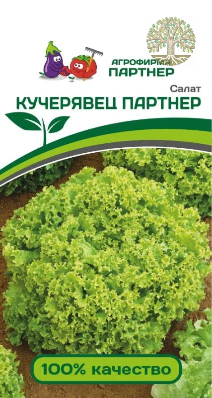 Салат КУЧЕРЯВЕЦ ПАРТНЕР ^(1г)