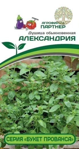 Душица обыкновенная серия «Букет Прованса» АЛЕКСАНДРИЯ ^(0,05г)