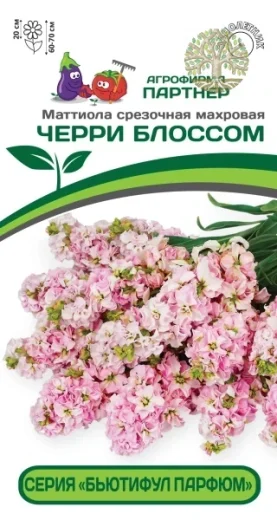 Маттиола срезочная махровая «Бьютифул Парфюм» ЧЕРРИ БЛОССОМ^(10шт) 2-ной пак