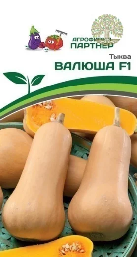 Тыква ВАЛЮША ^(5шт)