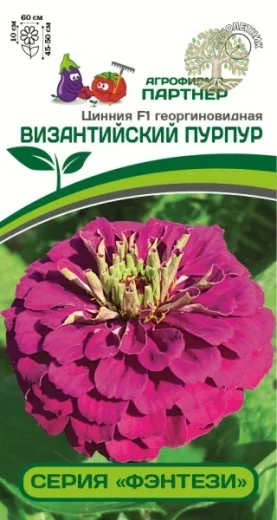 Цинния F1 ВИЗАНТИЙСКИЙ ПУРПУР / георгиновидная ^(4шт)