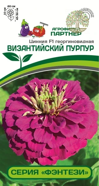 Цинния F1 ВИЗАНТИЙСКИЙ ПУРПУР / георгиновидная ^(4шт)