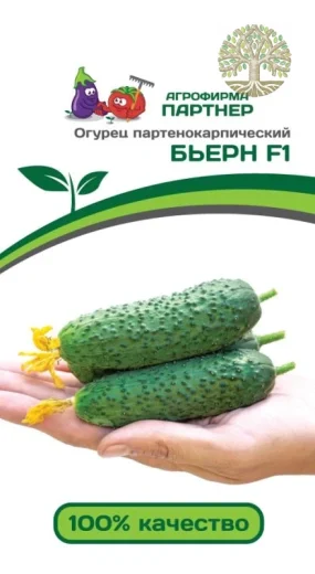 Огурец БЬЕРН F1 ^(5шт)
