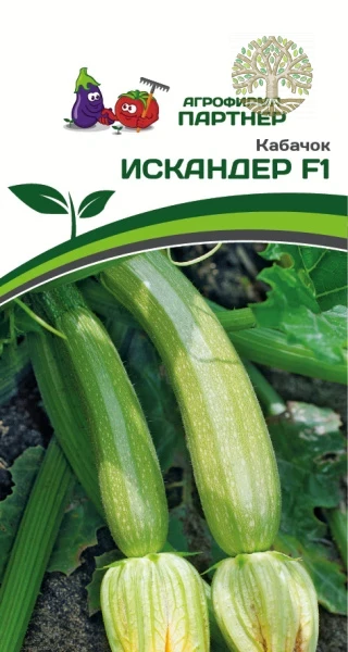 Кабачок ИСКАНДЕР F1 ^(5шт)