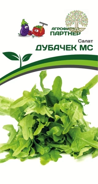 Салат листовой ДУБАЧЕК МС ^(0,5г)