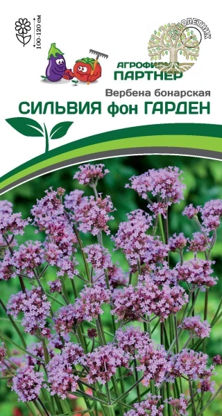 Вербена бонарская СИЛЬВИЯ фон ГАРДЕН ^(10шт в амп)