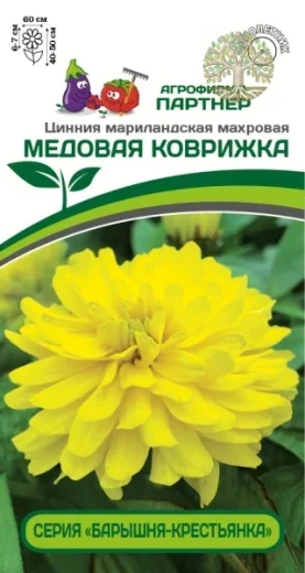 Цинния МЕДОВАЯ КОВРИЖКА / мариландская махровая ^(5шт)