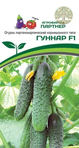 Огурец ГУННАР F1 ^(5шт)