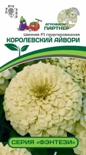 Цинния F1 КОРОЛЕВСКИЙ АЙВОРИ / георгиновидная ^(4шт)