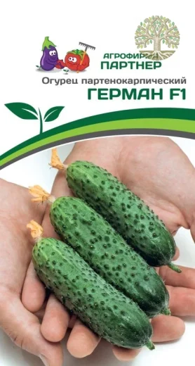 Огурец ГЕРМАН F1 ^(5шт)