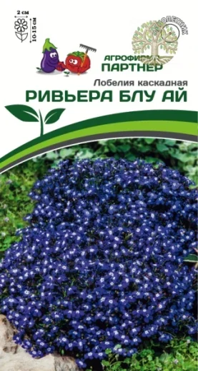 Лобелия каскадная РИВЬЕРА БЛУ АЙ ^(10шт в амп)