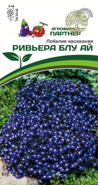 Лобелия каскадная РИВЬЕРА БЛУ АЙ ^(10шт в амп)