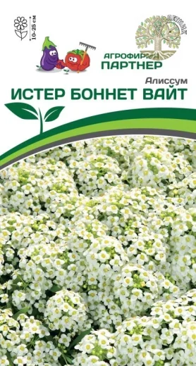 Алиссум морской «Истер Боннет» ВАЙТ ^(0,01гр в амп)