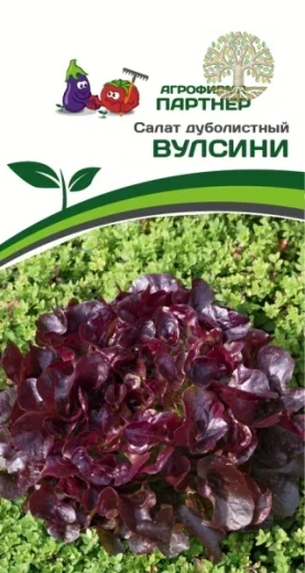 Салат дуболистный ВУЛСИНИ ^(15шт в амп)