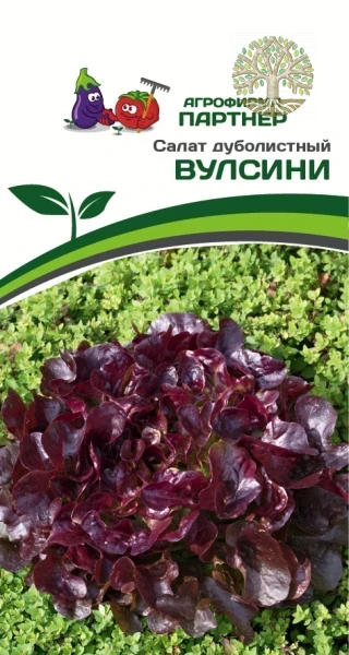 Салат дуболистный ВУЛСИНИ ^(15шт в амп)