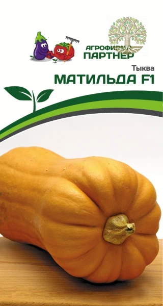 Тыква МАТИЛЬДА F1 ^(5шт)