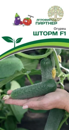 Огурец ШТОРМ F1 ^(5шт)