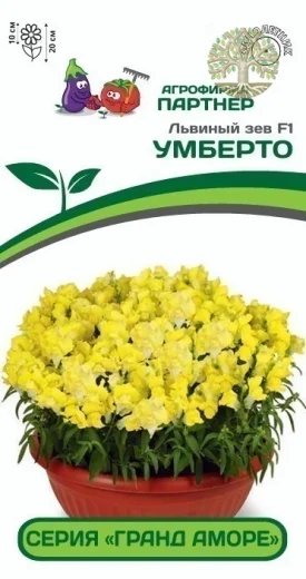 Львиный зев F1 низкорослый крупноцветковый «Гранд Аморе» УМБЕРТО^(10шт) 2-ной пак