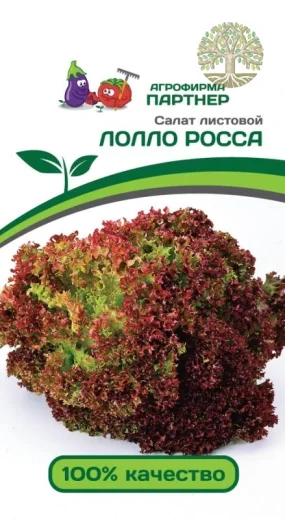 Салат листовой ЛОЛЛО РОССА ^(0,5г)