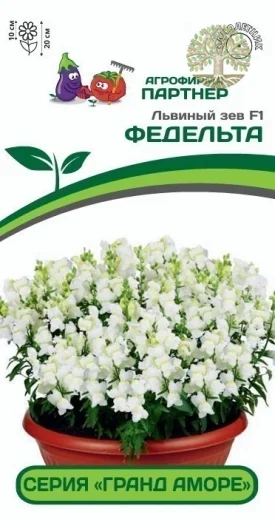 Львиный зев F1 низкорослый крупноцветковый «Гранд Аморе» ФЕДЕЛЬТА^(10шт) 2-ной пак