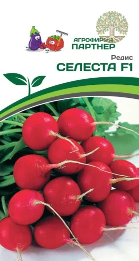 Редис СЕЛЕСТА F1 ^(1г)